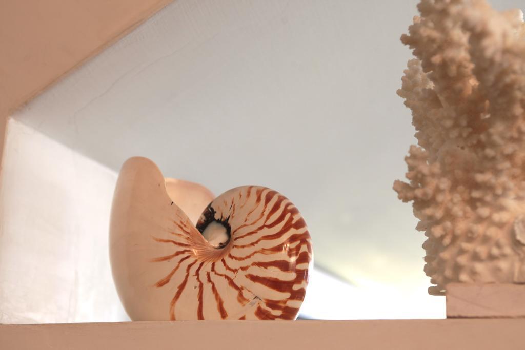 Nautilus Hotel Riccione Exterior foto